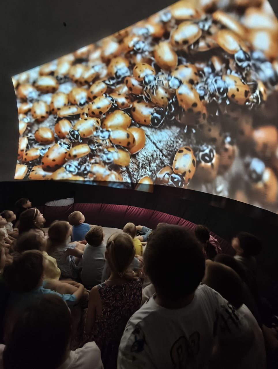 Фото события