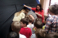 Познавательная программа «Природные зоны земли» 