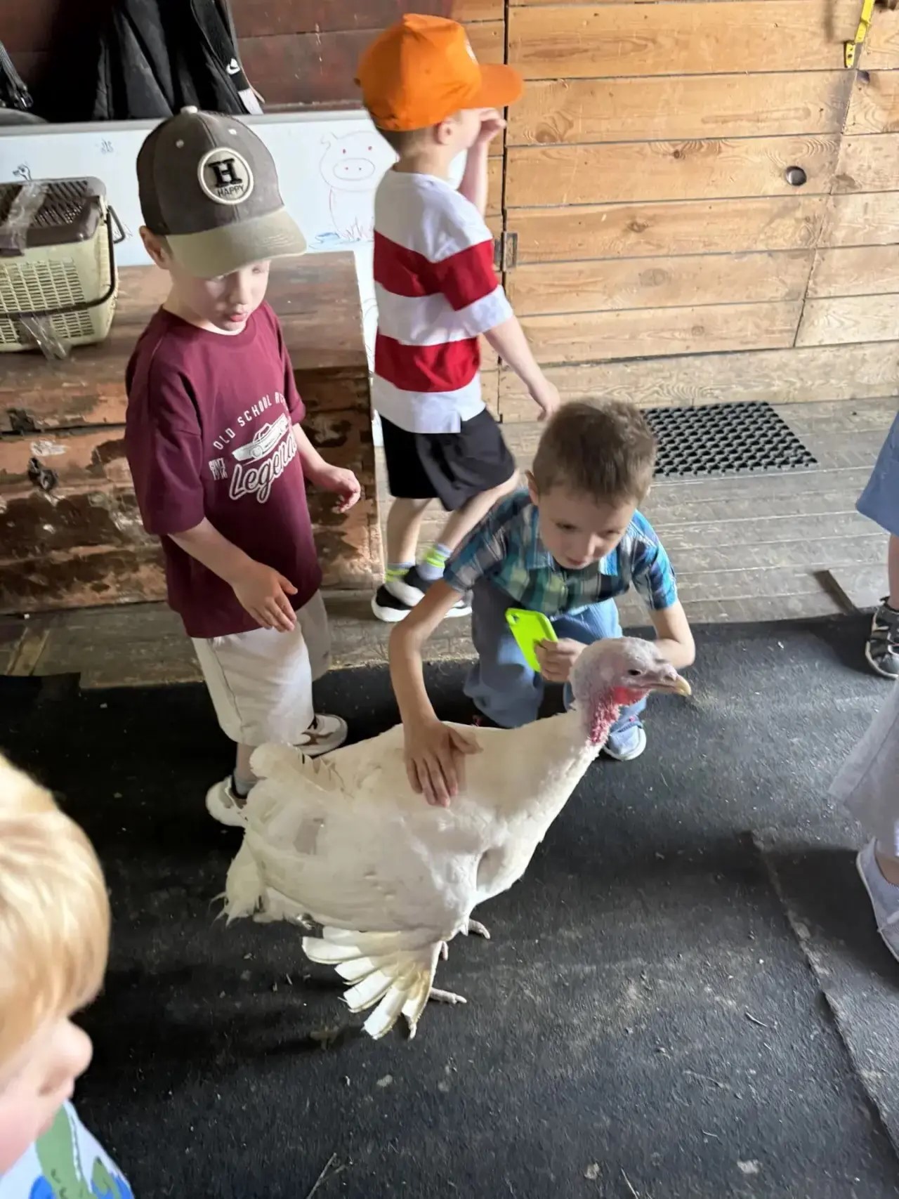 Фото события