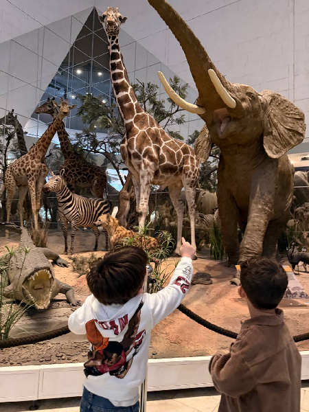 Экскурсия «Государственный Дарвиновский музей»