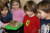 Встреча с животными