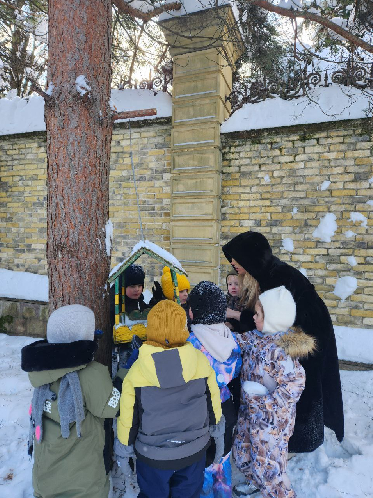 Снег, кормушки и маленькие спасатели! 