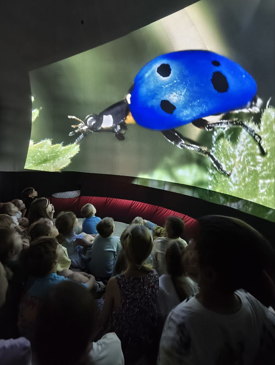 Фото события