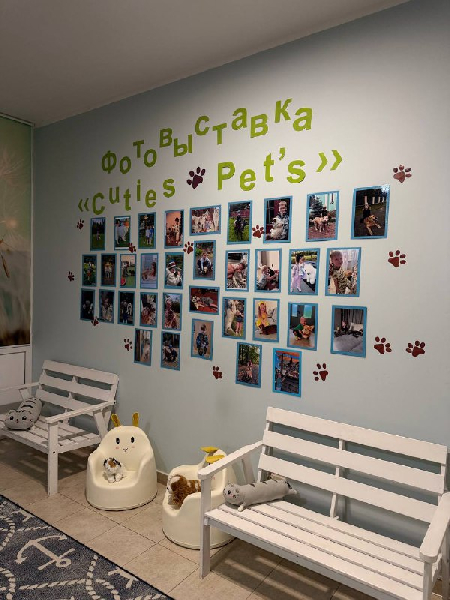 «Веснушки, усы и хвосты: в детском саду открылась выставка  домашних питомцев!»