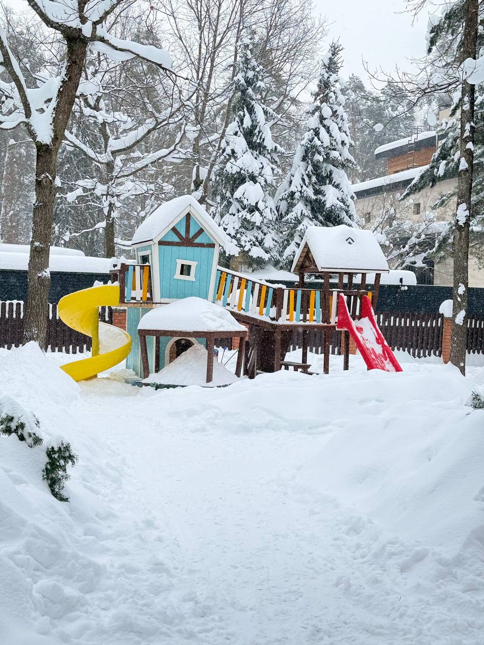 Фотография