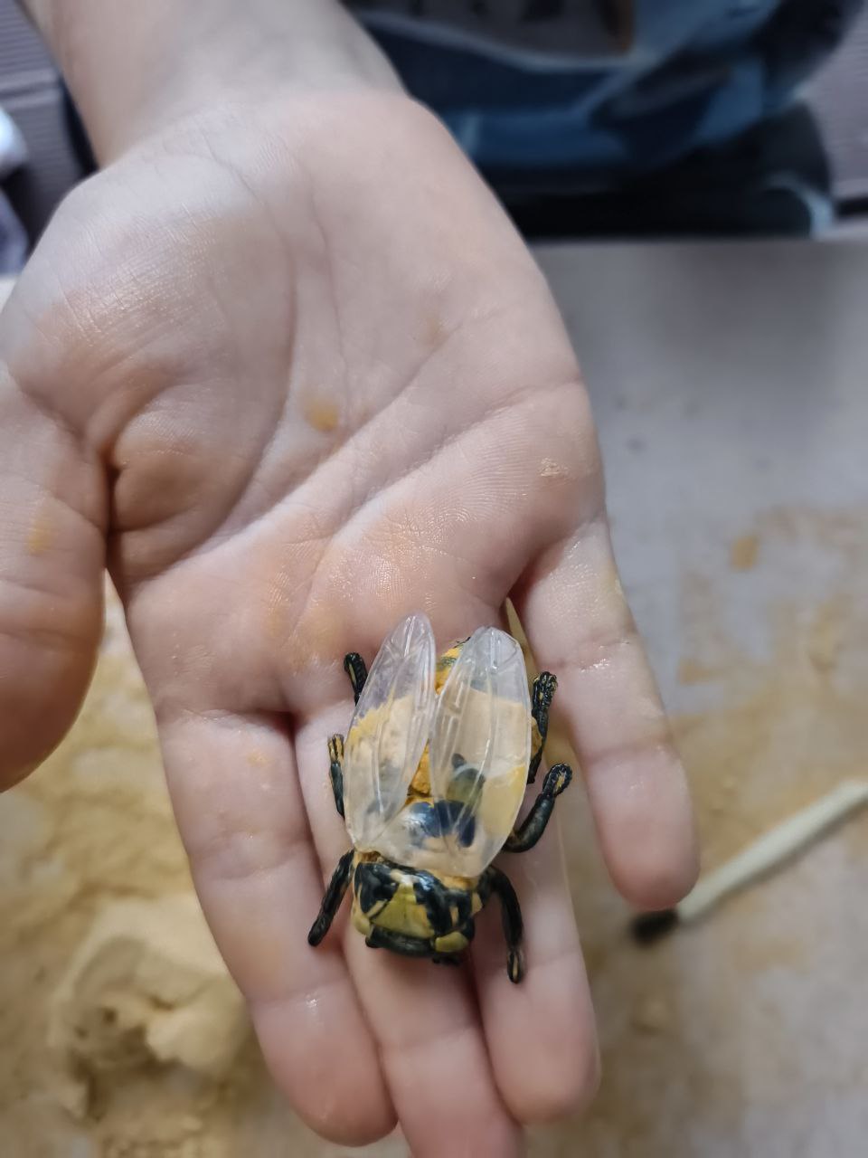 Фото события