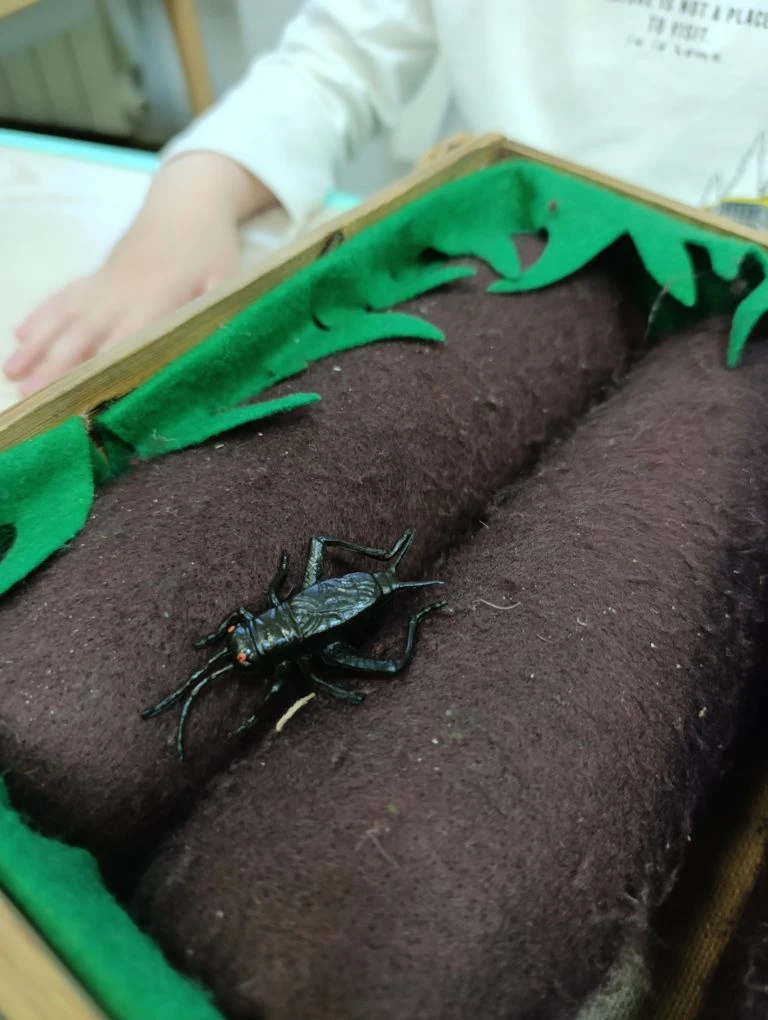 Фото события