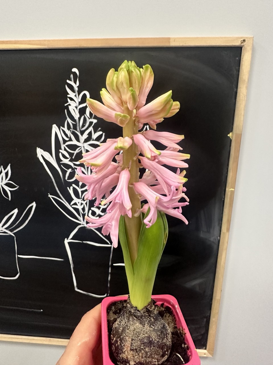 Фото события