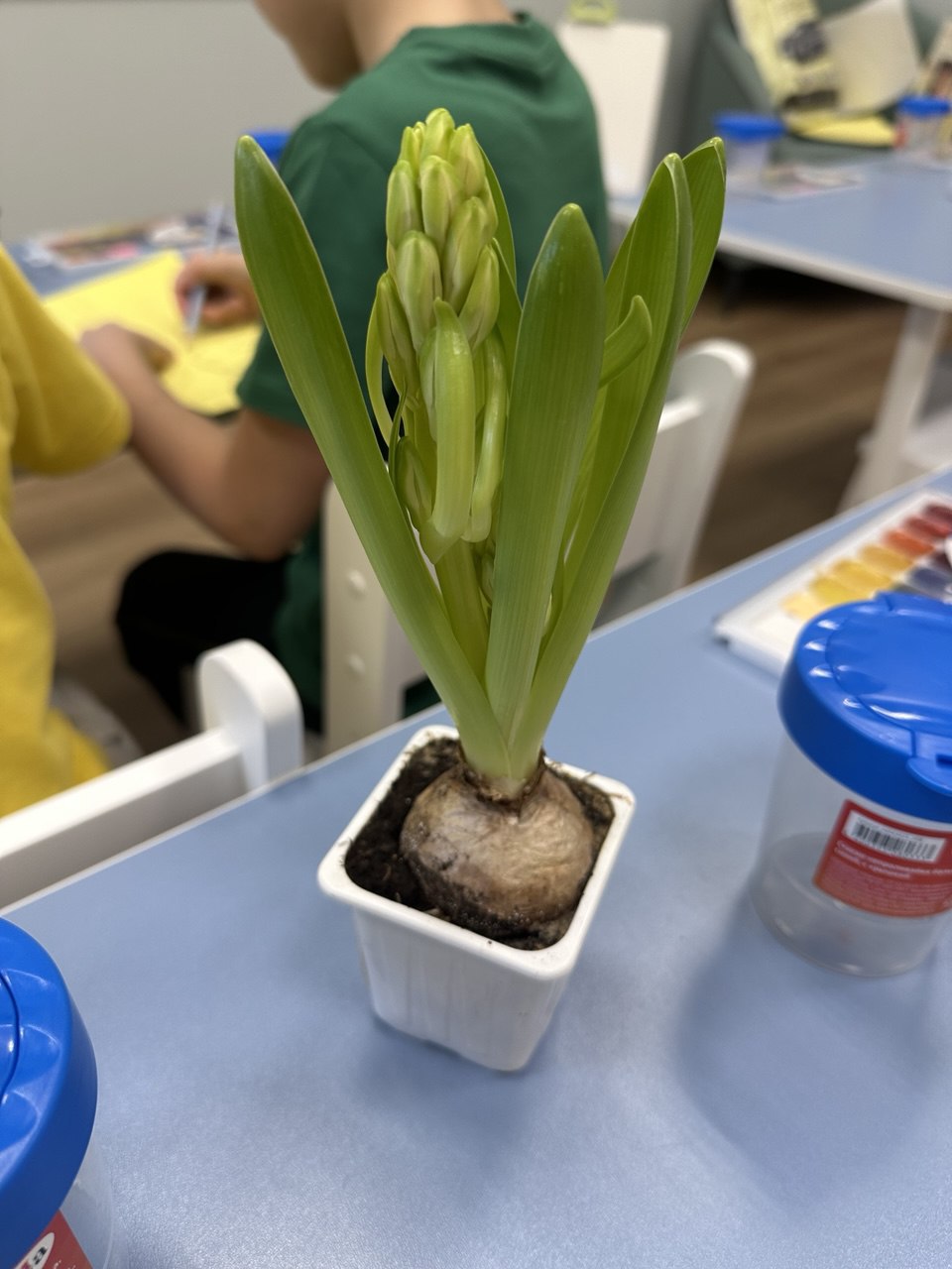 Фото события