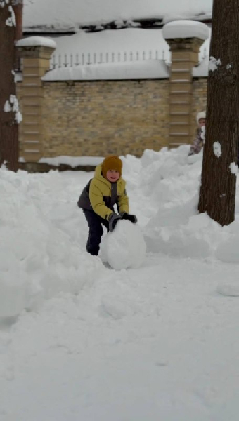 ❄️ Снег наконец-то здесь! Настоящая зимняя сказка во дворе
