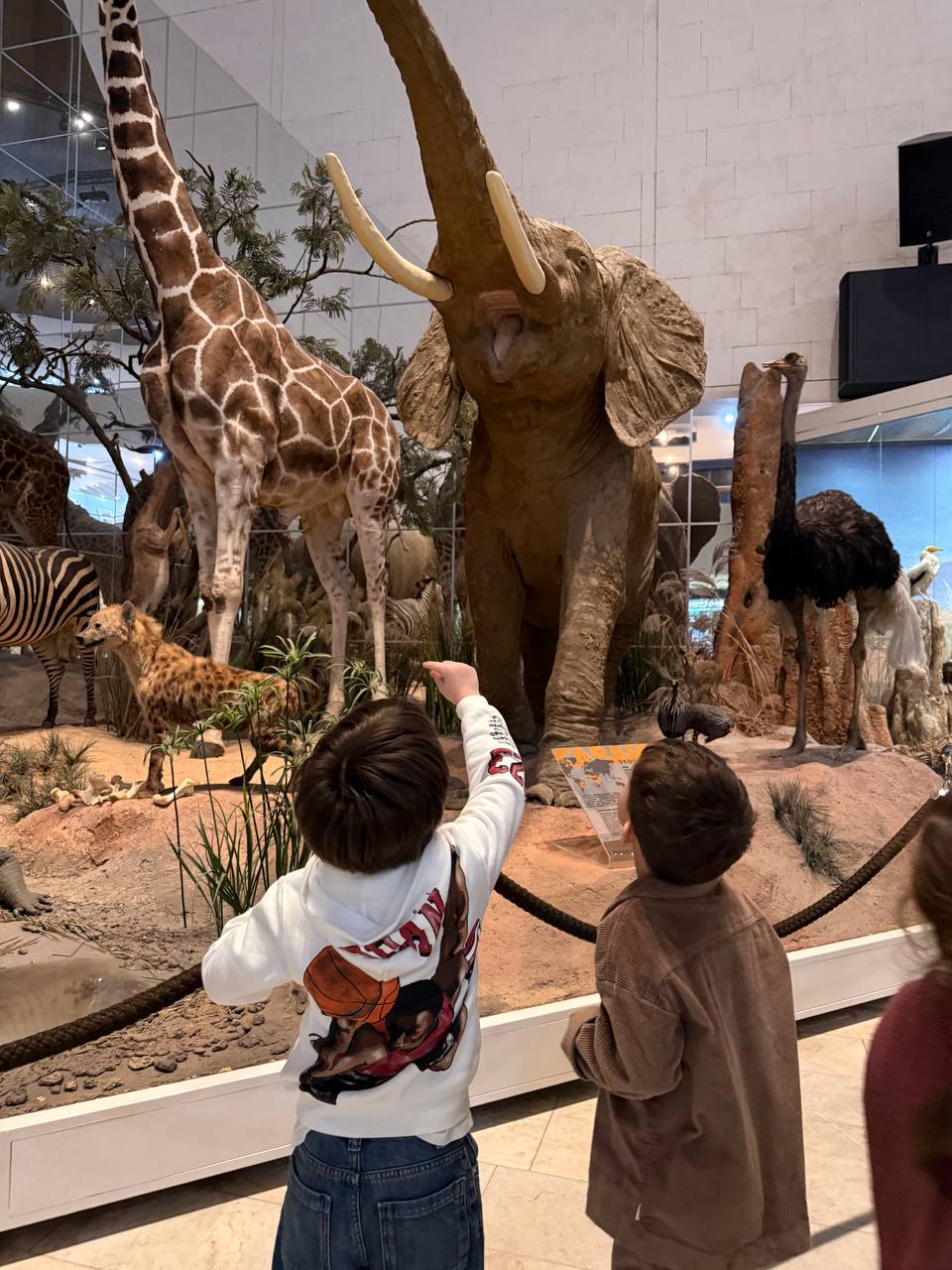 Фотография