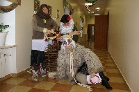 «Пришла Коляда – отворяй ворота!» 