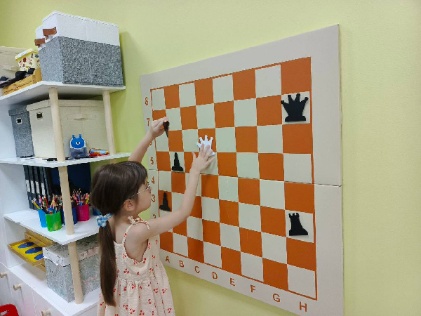 Шахматы: гимнастика для ума в нашем саду!