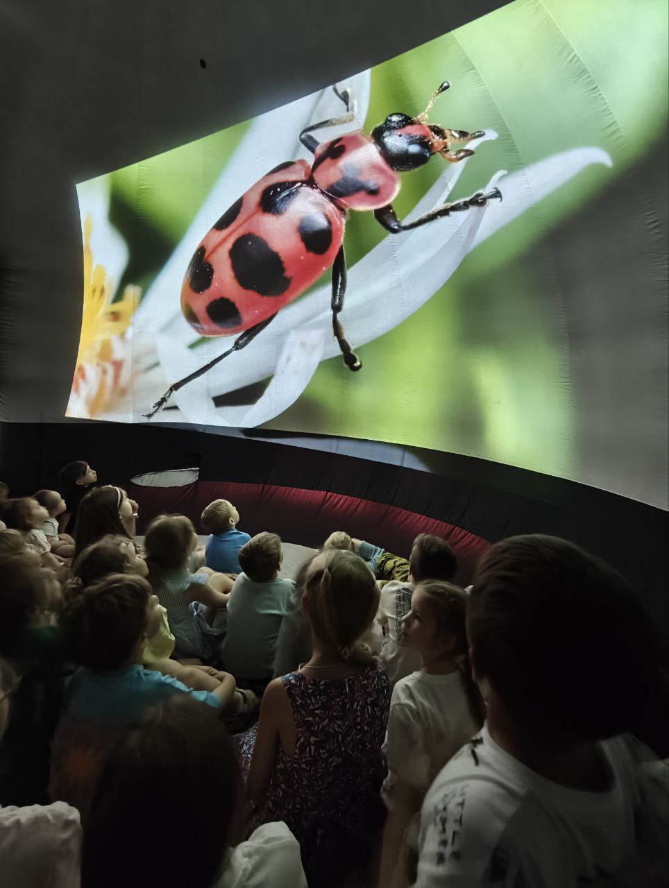 Фото события