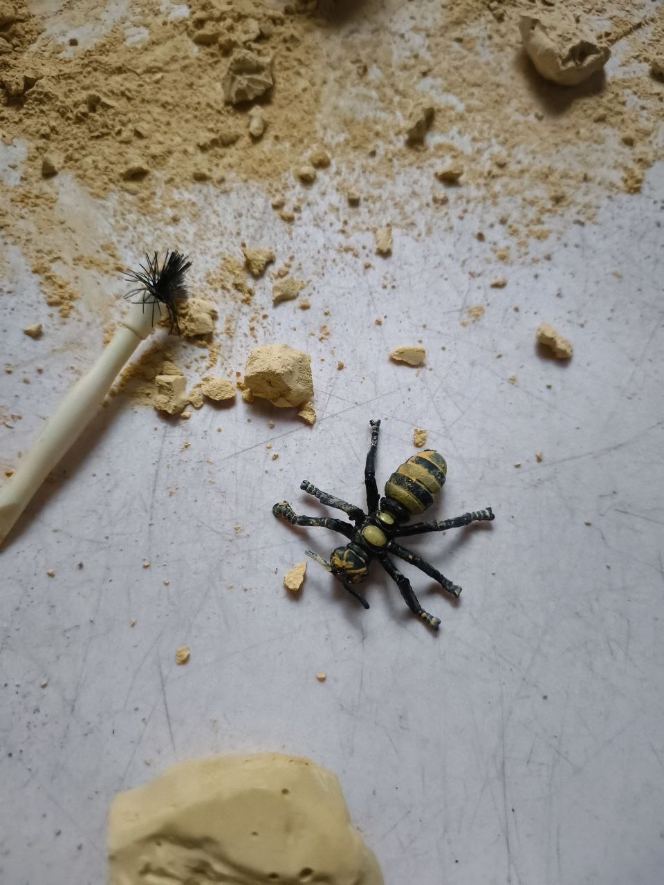 Фото события