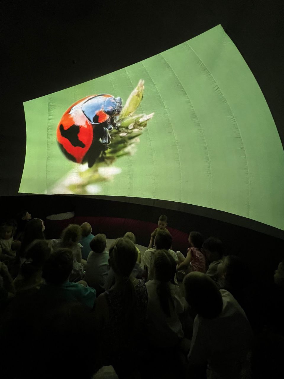 Фото события