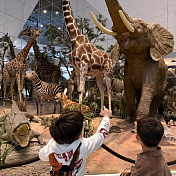 Экскурсия «Государственный Дарвиновский музей»