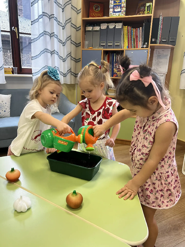 Маленькие семена и большие дела: как мы сажали свой первый огород